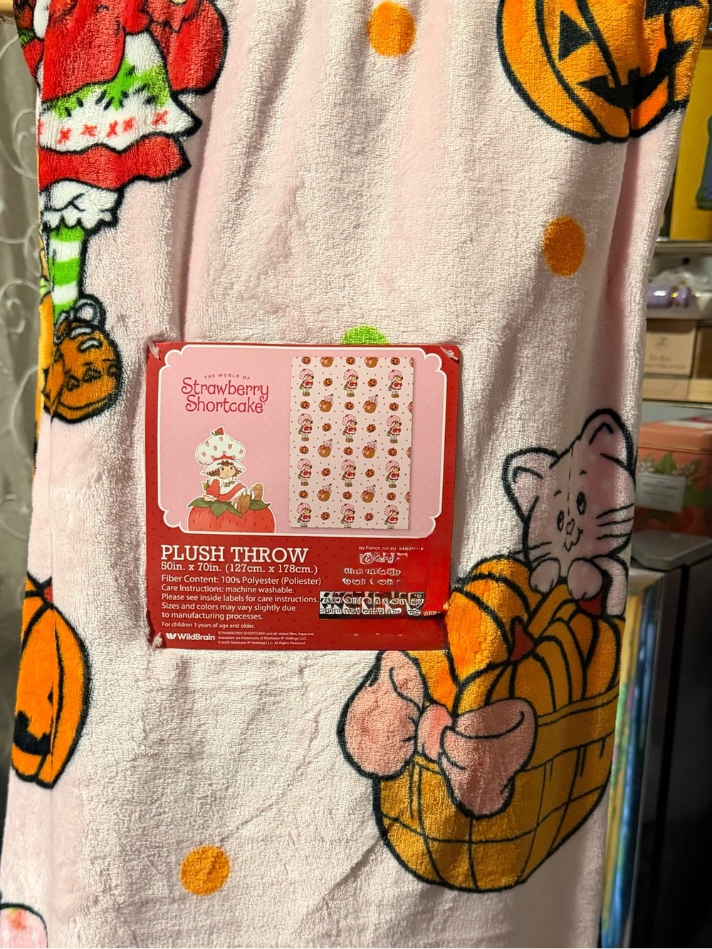 Strawberry Shortcake Pink Plush Throw Blanket